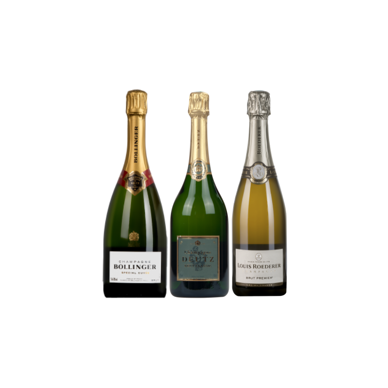 Coffret Champagne 6 Bouteilles Découverte Premier Cru