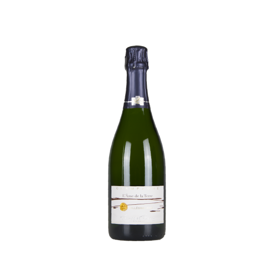 Champagne Françoise Bedel "L'Ame de la Terre" 2008 Champagne Brut