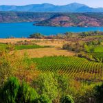 Terrasses du Larzac, un terroir d’exception.